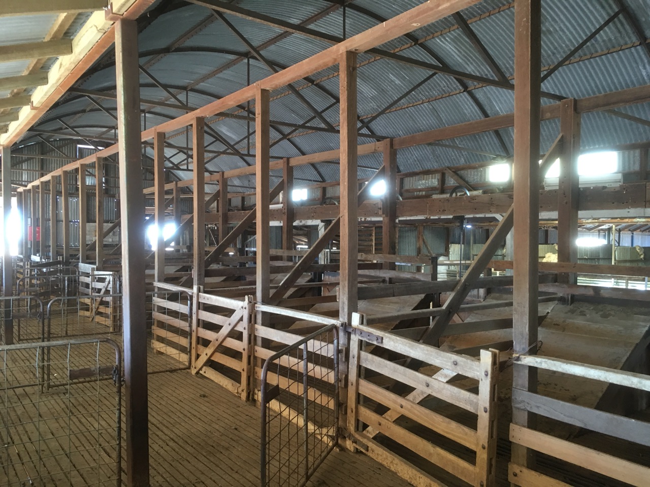 The Shearing Pens