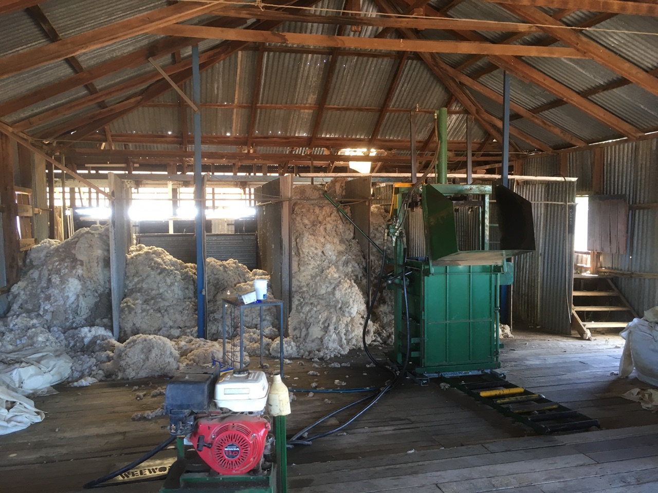 The Wool Press