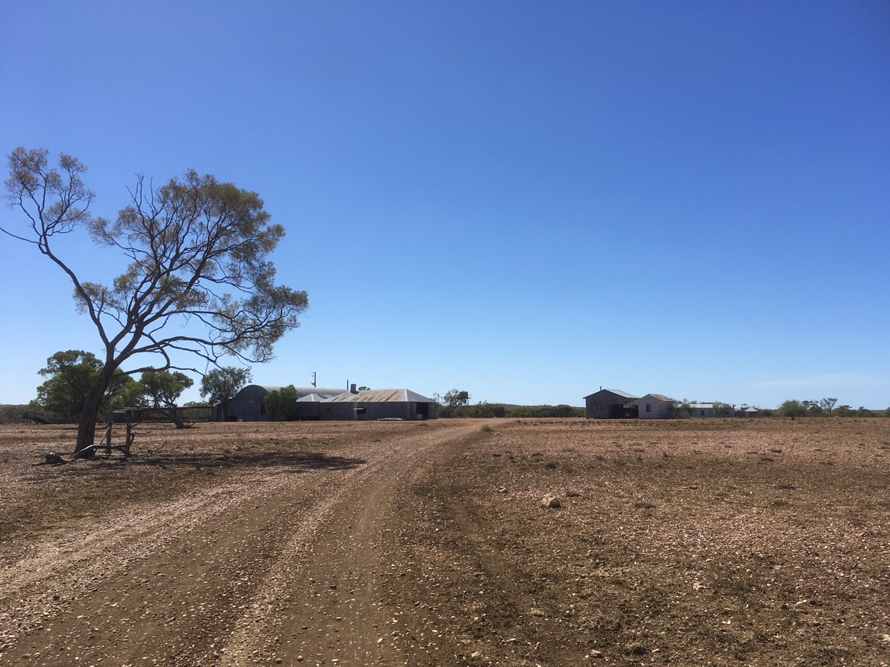 The Woolshed