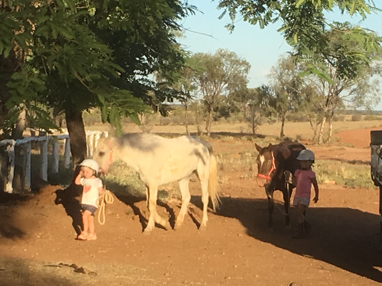 Exercising The Horses