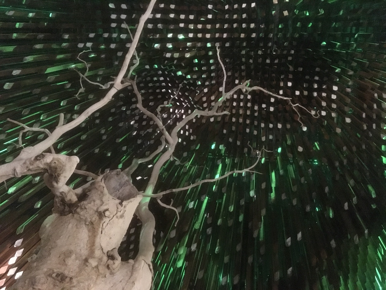 Tree of Knowledge