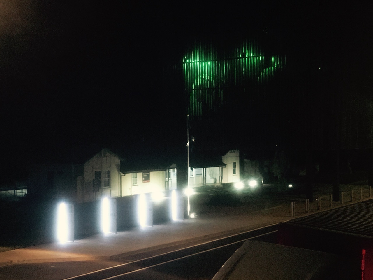 The tree illuminated at night