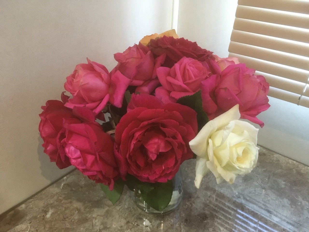 In Full Bloom