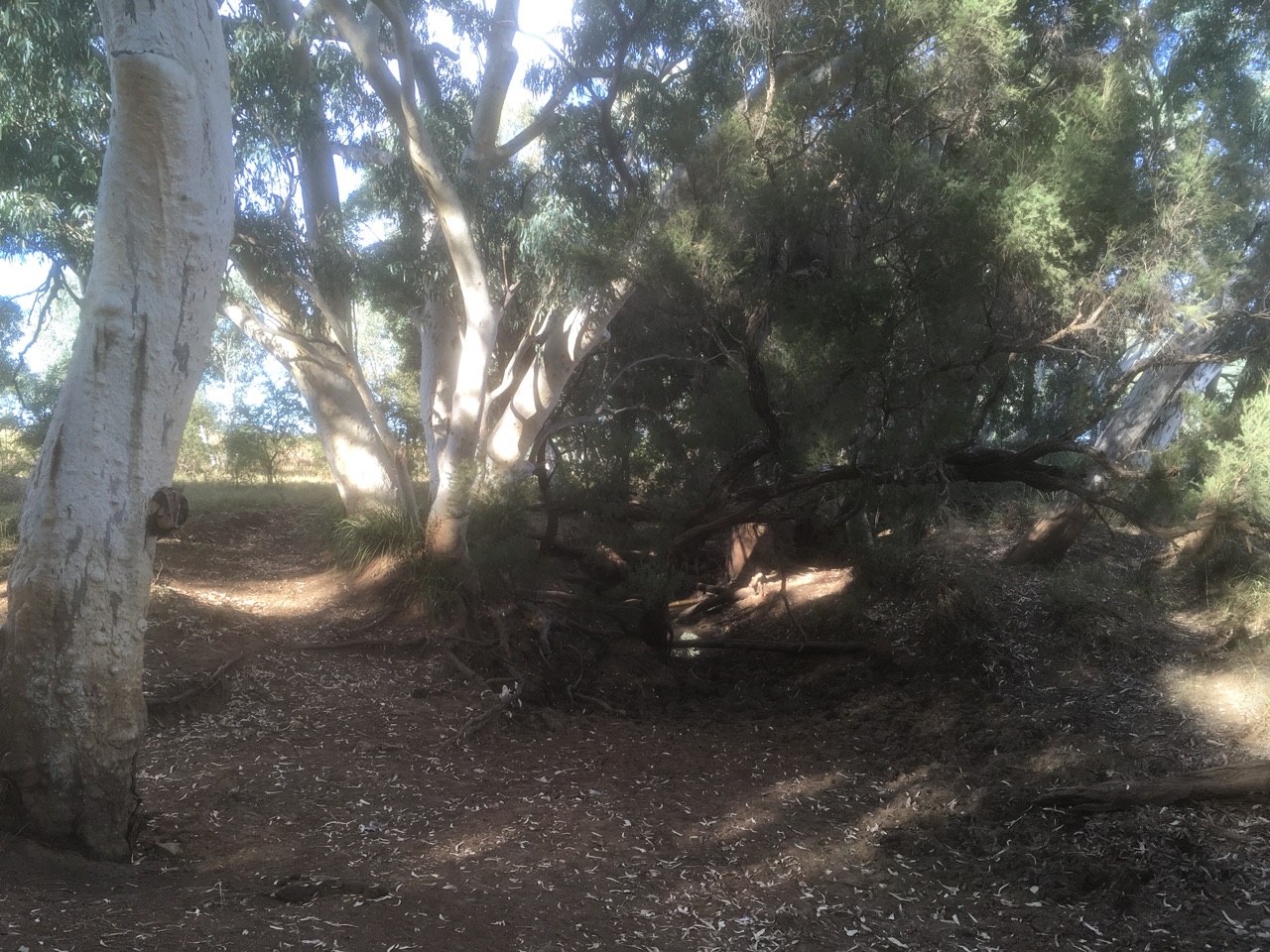 The (Dry) Riverbed