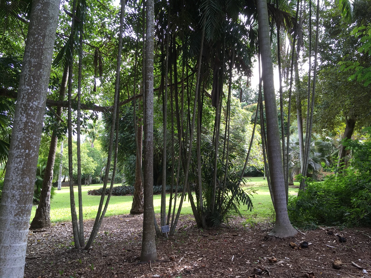 Botanical Gardens