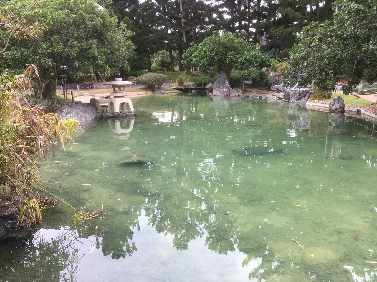 Japanese Gardens