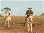 All bareback