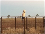 Topsy's lost her horse