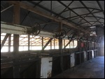 The Shearing Floor