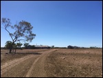 The Woolshed