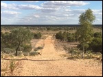 If you want a track just get the grader out