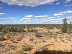 The vista