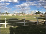 Horse trials