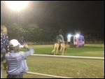 Now Its A Horse Up Top