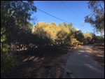 Linear Botanical Gardens