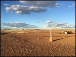 Pretty Plains