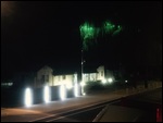 The tree illuminated at night
