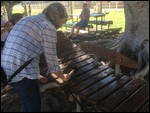 The Big Marimba