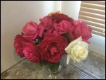 In Full Bloom