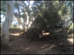 The (Dry) Riverbed