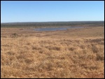 The Vista