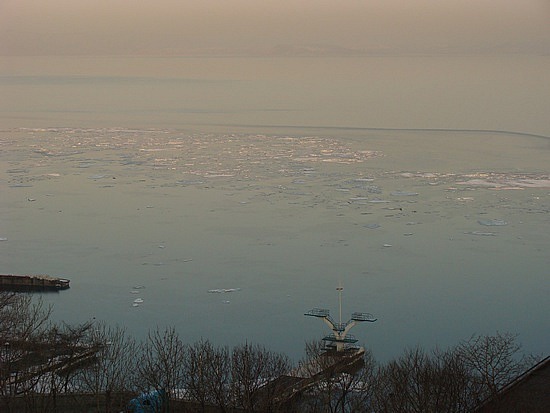 Ice flows in the morning from our window