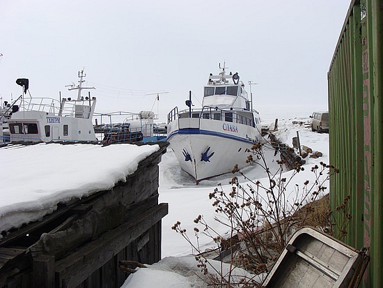 Frozen In Boats