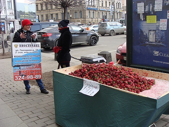 Strawberry Vendor Near Our Hostel