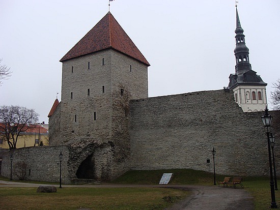 Part Of The Old Wall