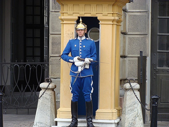 Palace Guard