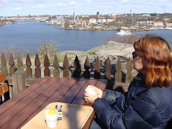 The View From Fåfängan