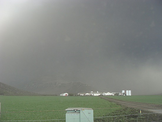 The Ash