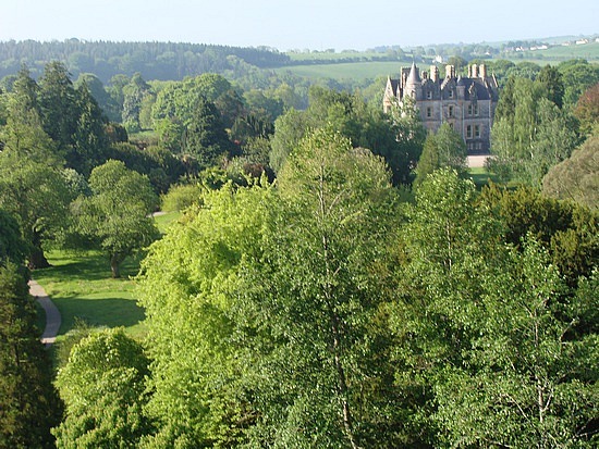 View From Blarney Castle