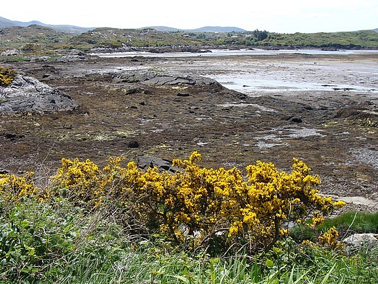 Connemara Loop