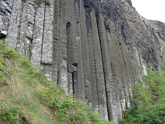 Organ Pipes