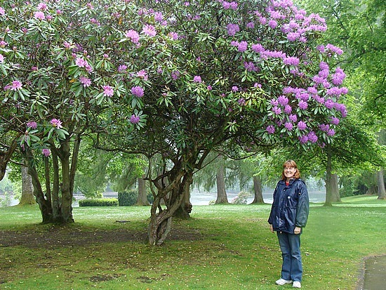 Grounds Of Dunkeld Cathedral
