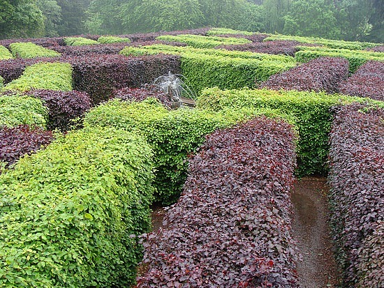 Maze