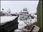 Frozen In Boats