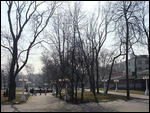 Hermitage Gardens