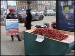 Strawberry Vendor Near Our Hostel