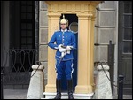 Palace Guard