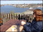 The View From Fåfängan