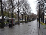 Karl Johan's Gate