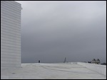 Mandy on the Opera House Roof