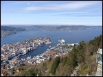 Bergen From Mt Fløyen