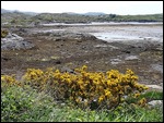 Connemara Loop