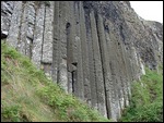 Organ Pipes