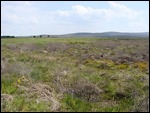 Culloden Moor And Battleground