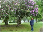 Grounds Of Dunkeld Cathedral