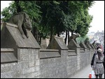 Animals On The Cardiff City Wall